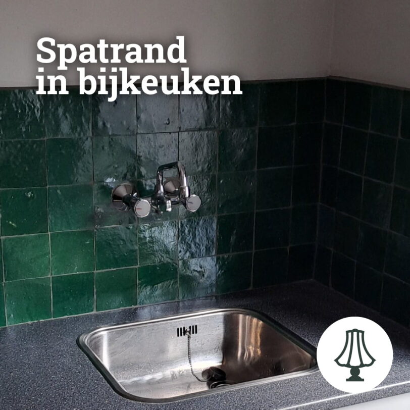 Spatrand met donkergroene zelliges - dehuischkamer.nl